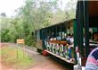 Tren ecologico de la selva - Puerto Iguazu - Argentina