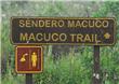 Sendero Macuco - Puerto Iguazu - Argentina